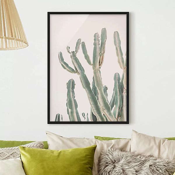 Bild mit Rahmen Kaktus vor Pastellrosa günstig online kaufen
