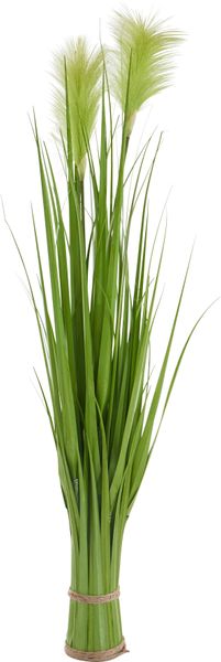 Kunstpflanze Stretton Pampasgras, Home affaire, Gras günstig online kaufen