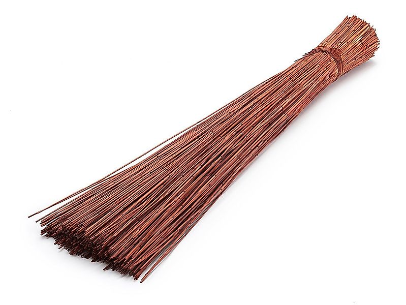 Trockenblume Vleireed Braun 75cm 1kg Restio günstig online kaufen