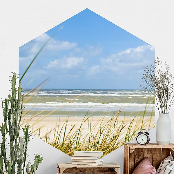 Hexagon Fototapete selbstklebend An der Nordseeküste günstig online kaufen