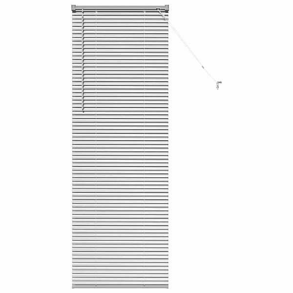 Rollo Fensterjalousie mit Vorhängen Silber Aluminium, günstig online kaufen