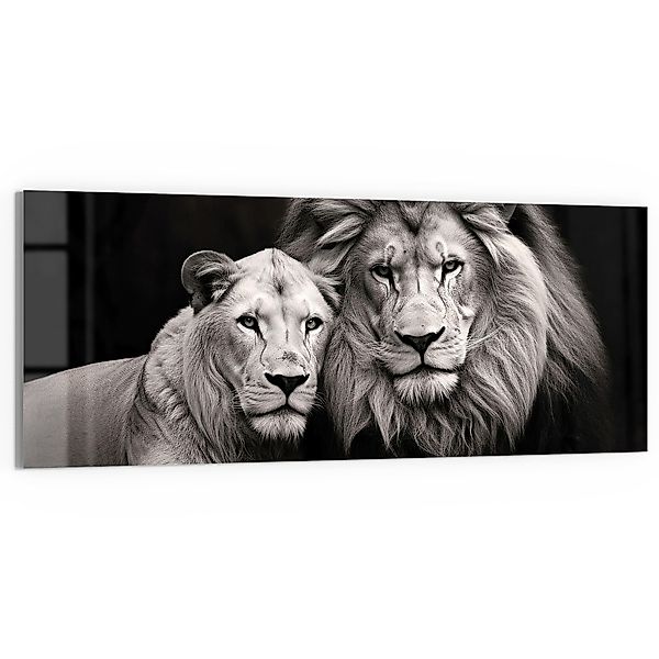 DEQORI Glasbild 'Stolzes Löwenpaar', 'Stolzes Löwenpaar', günstig online kaufen