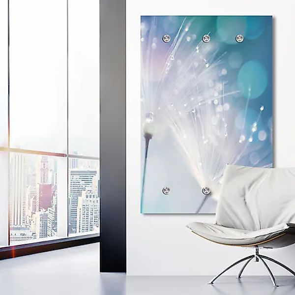 queence Garderobenleiste »Dandelion« Wand Garderobe, Pflanze, Pusteblume, p günstig online kaufen