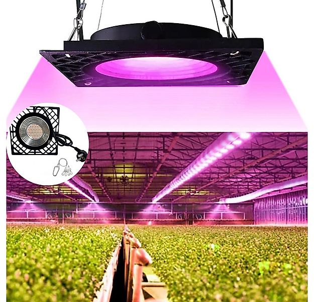 Jibenhome Pflanzenlampe LED Grow Lampe, 50W SMD2835 Vollspektrum Pflanzenli günstig online kaufen