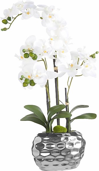 Kunstpflanze Orchidee Orchidee, Creativ green, Höhe günstig online kaufen