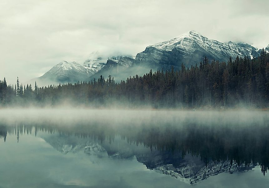 Wallarena Fototapete Berge Wald im Nebel günstig online kaufen