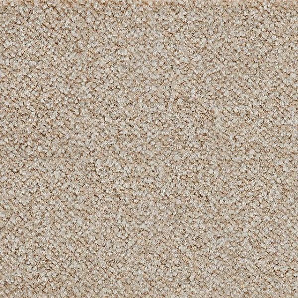 Bodenmeister Teppichboden »Juno, Velours - meliert, Made in Belgium«, recht günstig online kaufen