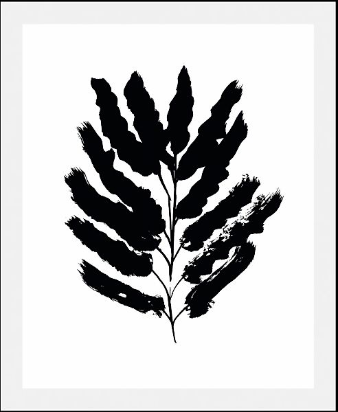 queence Bild "Holle" Art  Blumen  Kunst  Pflanzen  Pflanzenbilder  Schwarz- günstig online kaufen