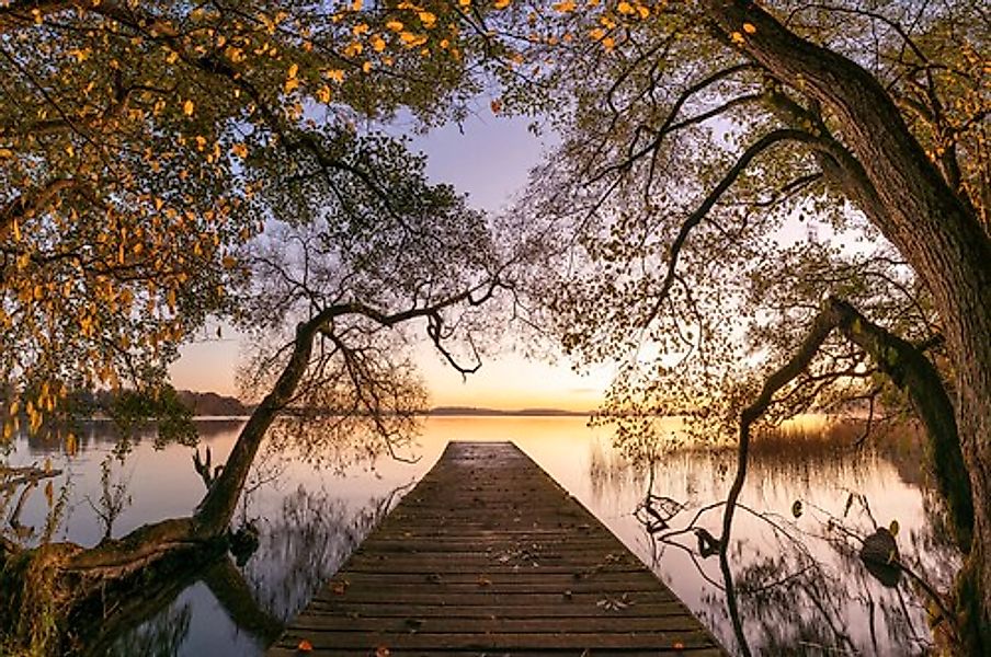 Papermoon Fototapete »Photo-Art KELLER, HERBST« günstig online kaufen