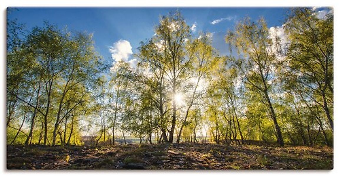 Artland Leinwandbild »Frühlingssonne« Wald 1 Stk. tlg. auf Keilrahmen gespa günstig online kaufen