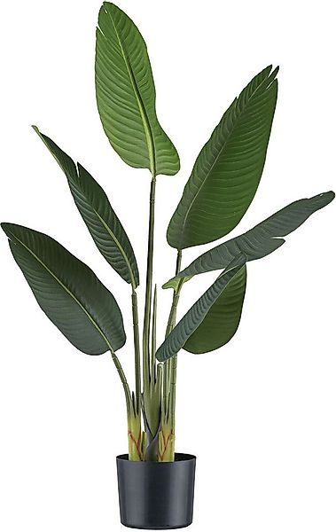 Kunstpflanze Strelitzia Grünpflanze, Creativ green, Höhe 90 cm, mit 6 Blätt günstig online kaufen