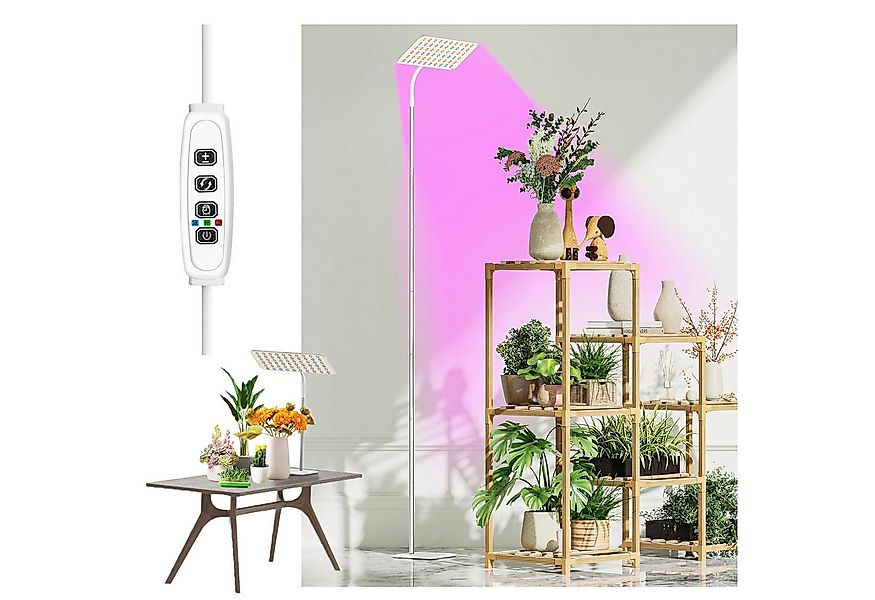Jibenhome Pflanzenlampe Vollspektrum LED Pflanzenlampe, 3 Lichtfarben & Tim günstig online kaufen