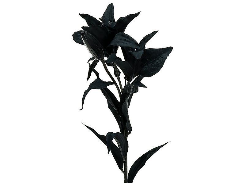 Kunstblume Kunstblume Lilie Schwarz 84cm Seidenblume Deko, Viana, Höhe 15 c günstig online kaufen