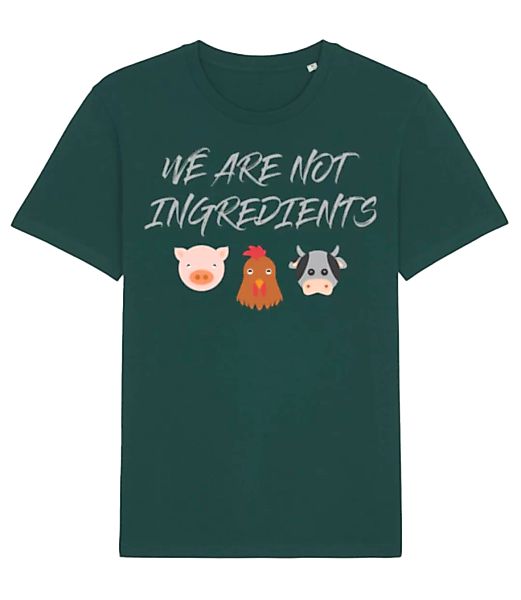 Vegetarian · Männer Bio T-Shirt Stanley Stella 2.0 günstig online kaufen