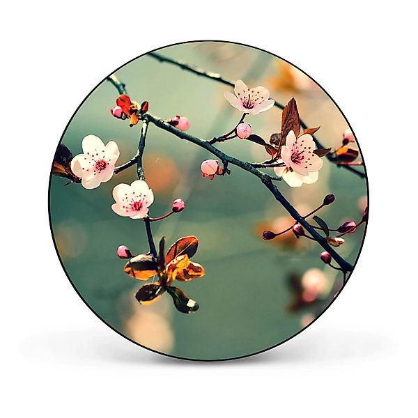 Banjado Magnettafel Rund Größe 47cm Magnetwand Schwarz Aus Metall Magnetpin günstig online kaufen