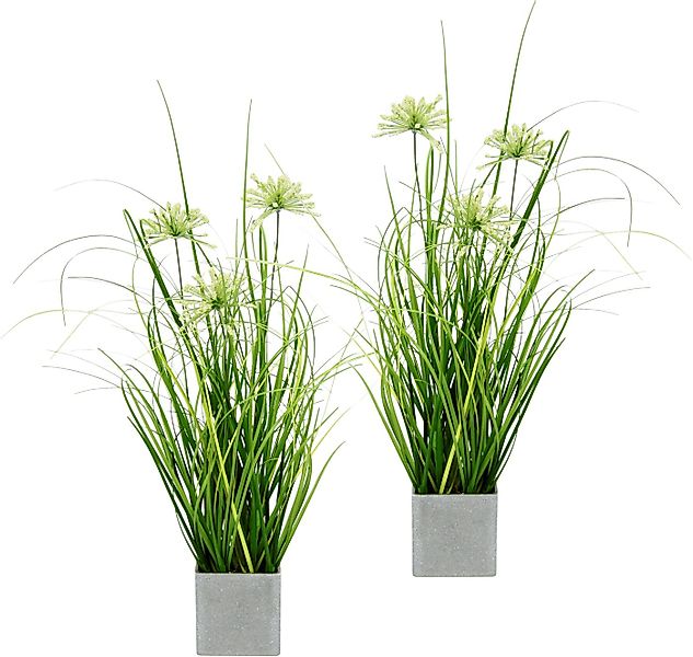 Kunstpflanze Grasbusch im Topf Gras, I.GE.A., Höhe 32 cm, 2er Set Gräser Ku günstig online kaufen
