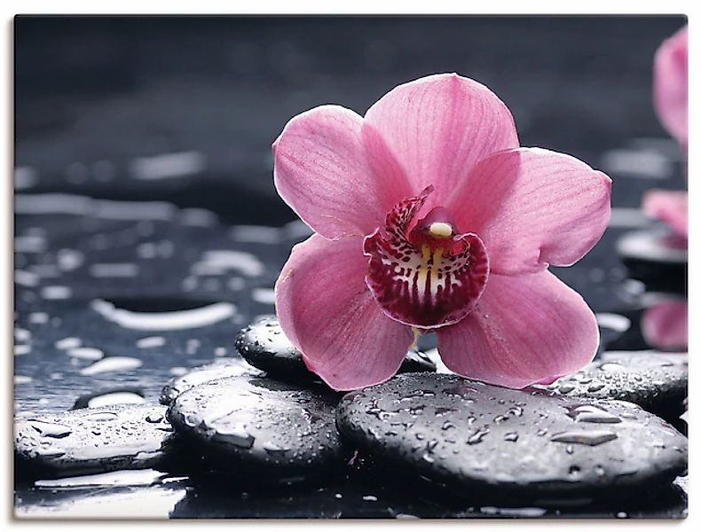 Artland Wandbild »Stillleben mit Kiesel und einer Orchidee« 1 Stk. tlg. als günstig online kaufen