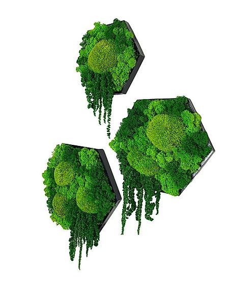 Gedankenwunder Manufaktur Bild Island Ranke Moosbild Hexagon Sechseck Wabe günstig online kaufen