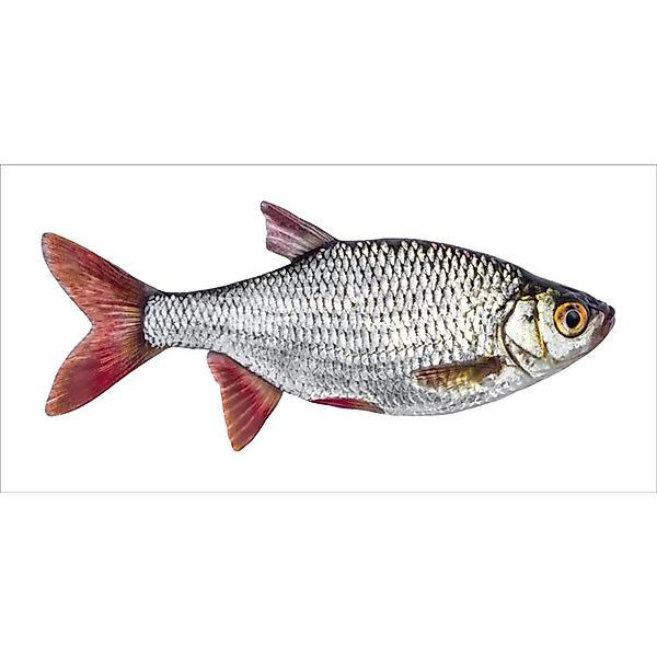 ESTAhome Wandtattoo Fisch Grau und Rot 97 x 48,5 cm 159039 günstig online kaufen