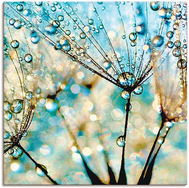 Artland Wandbild "Pusteblume Blaue Diamanten" Blumen 1 Stk. tlg. auf Holzra günstig online kaufen