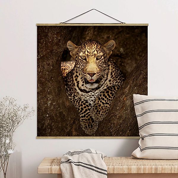 Stoffbild Tiere mit Posterleisten - Quadrat Leopard ruht auf einem Baum günstig online kaufen