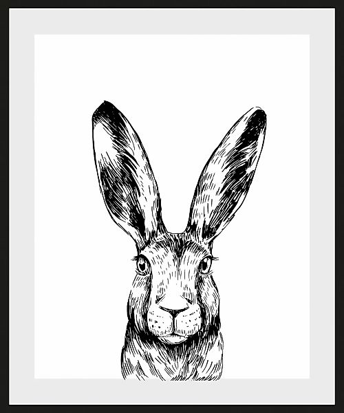 queence Bild "Matias", Hase-Hasen-Schwarz-Weiß-Kunst-Haustiere, (1 St.), HD günstig online kaufen