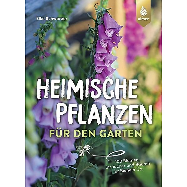 Heimische Pflanzen für den Garten günstig online kaufen
