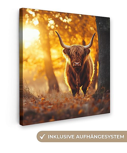 OneMillionCanvasses® Leinwandbild Schottischer Hochländer - Wald günstig online kaufen