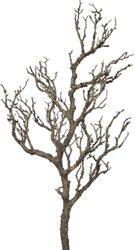 Kunstzweig Dekoast Ast, Creativ green, Höhe günstig online kaufen