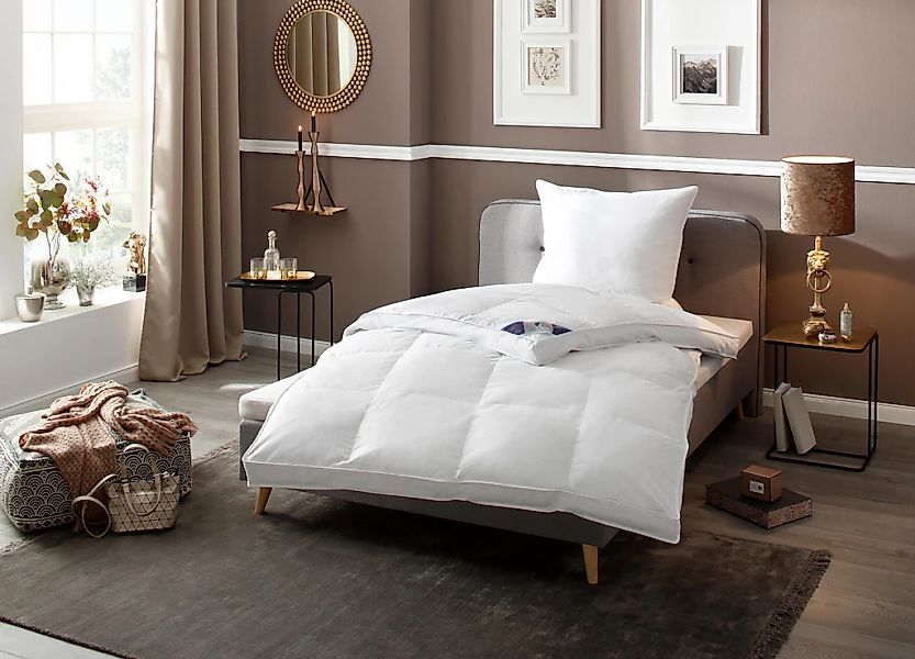 RIBECO Daunenbettdecke "extra prall" extrawarm Füllung 80Daunen20Federn 1 S günstig online kaufen