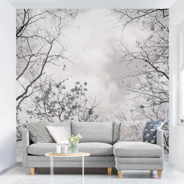 Bilderdepot24 Fototapete Wald Baumkronen Himmel Warmgrau günstig online kaufen