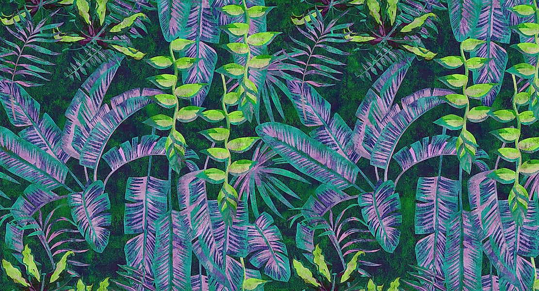 living walls Fototapete "Walls by Patel Tropicana 5" glatt Vlies, Wand, Sch günstig online kaufen