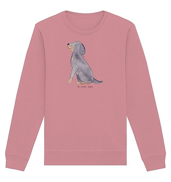 Mr. & Mrs. Panda Longpullover Größe M Gordon Setter Moment - Canyon Pink - günstig online kaufen