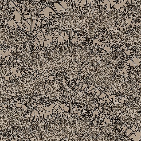 Bricoflor Moderne Tapete mit Blumen Florale Tapete in Beige und Schwarz Ide günstig online kaufen