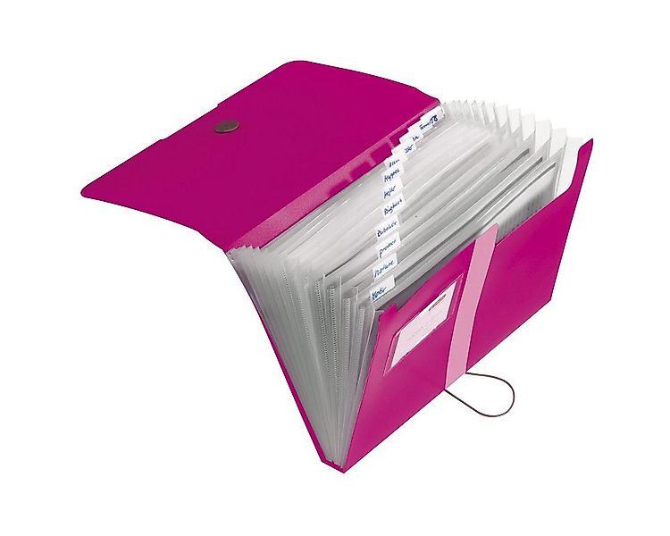 Herlitz Fächermappe herlitz 11217114 Fächermappe easy orga to go, 12 Fächer günstig online kaufen