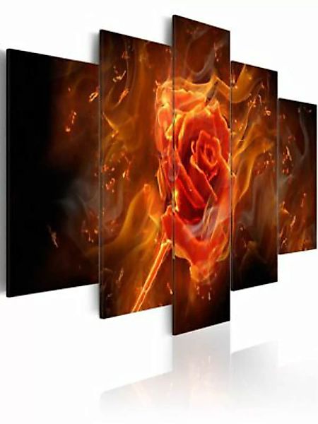 artgeist Wandbild Flaming Rose schwarz-kombi Gr. 200 x 100 günstig online kaufen