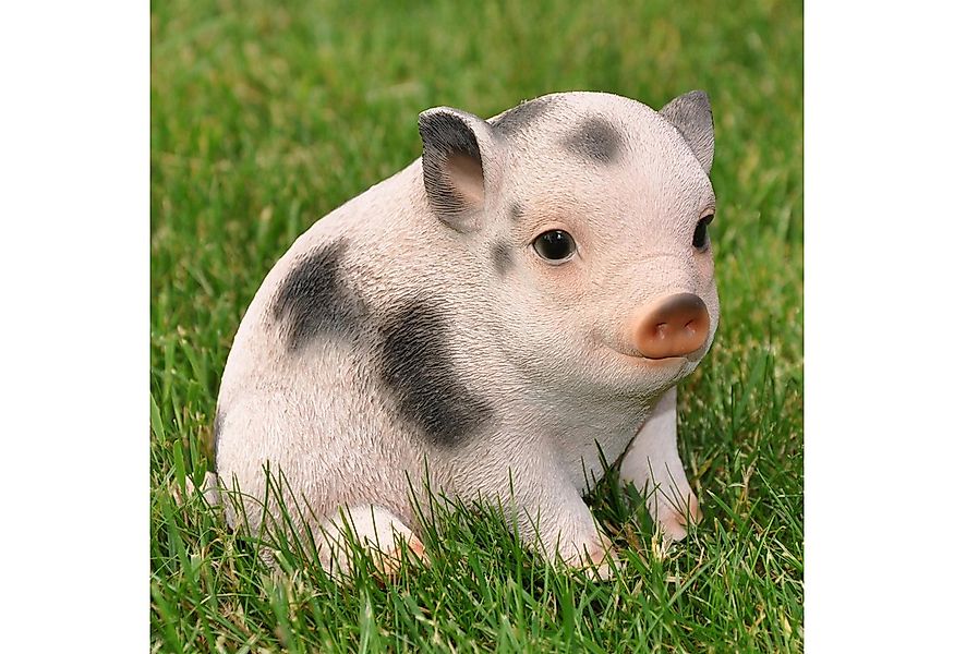 dazikemo Gartenfigur Dekofigur Gartenfigur Schwein / Ferkel günstig online kaufen