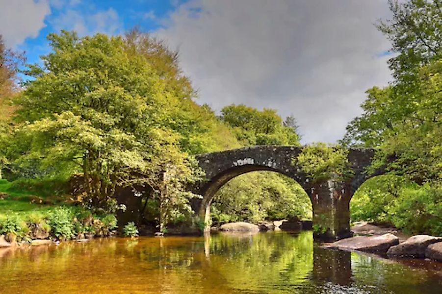 Papermoon Fototapete »Brücke im Wald« günstig online kaufen