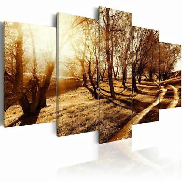artgeist Wandbild Amber orchard braun-kombi Gr. 200 x 100 günstig online kaufen