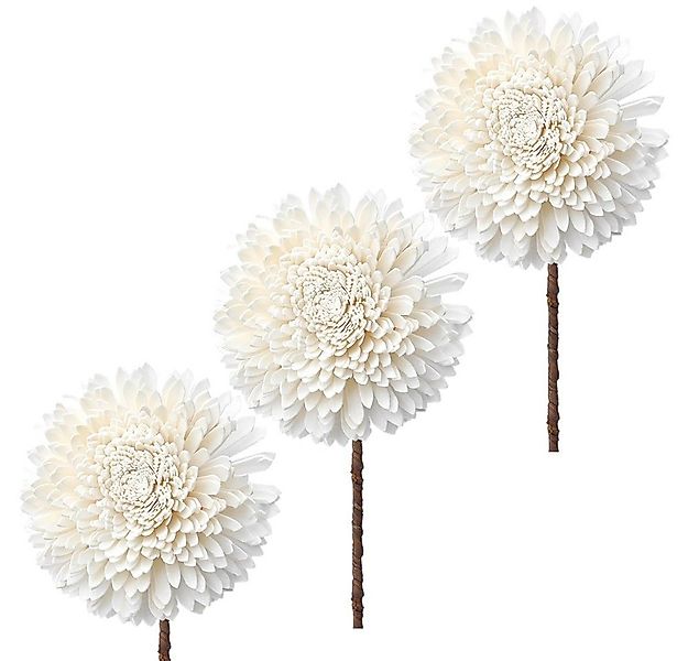 Kunstblume Solablüten Chrysanthemen basteln naturweiß 3er Set Ø 12 cm Chrys günstig online kaufen