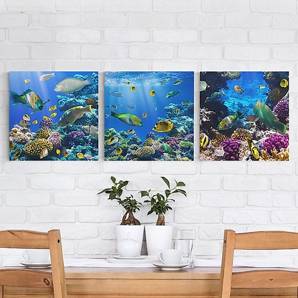 3-teiliges Leinwandbild - Quadrat Underwater Trio günstig online kaufen