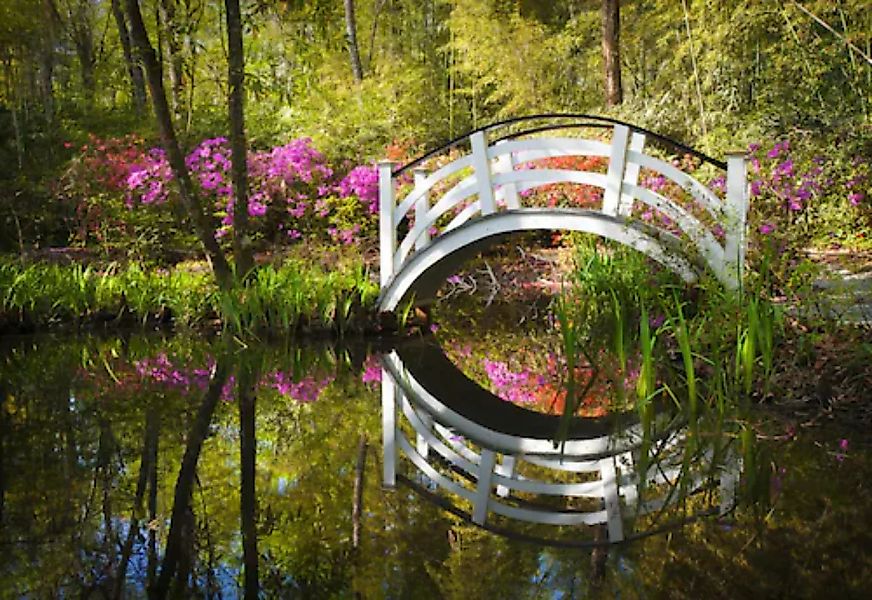 Papermoon Fototapete »Brücke im Park« günstig online kaufen