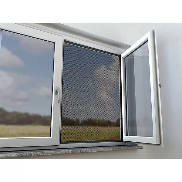Insektenschutznetz Fenster Anthrazit 110 x 130 cm günstig online kaufen