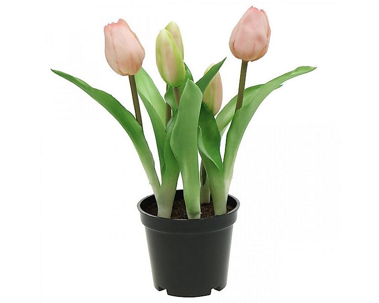 Kunstblume Tulpe Rosa Grün im Topf Künstliche Dekoration Pflanze, Viana, Hö günstig online kaufen
