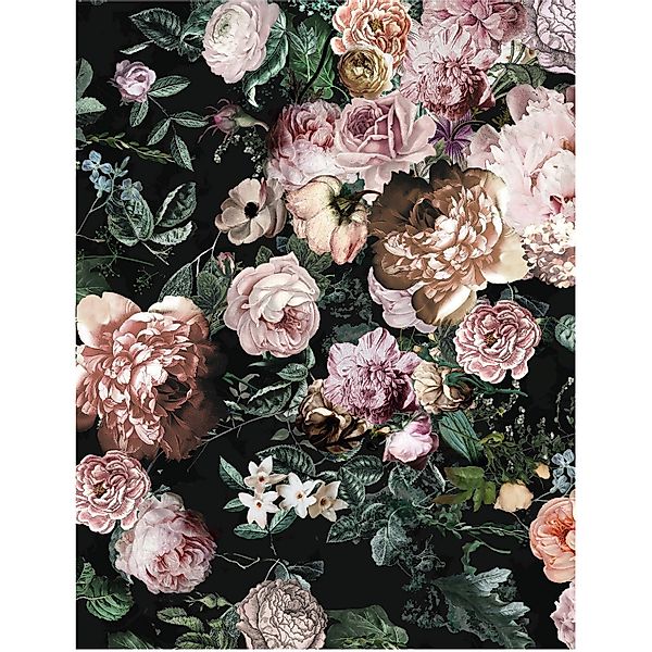 Komar Wandbild Charming Wild 50 x 70 cm günstig online kaufen