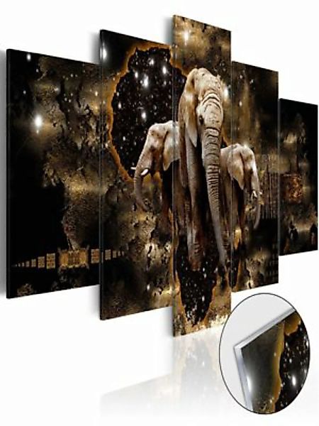 artgeist Acrylglasbild Brown Elephants [Glass] mehrfarbig Gr. 100 x 50 günstig online kaufen