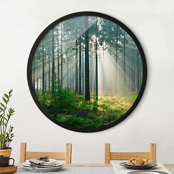 Rundes Bild mit Rahmen Enlightened Forest günstig online kaufen