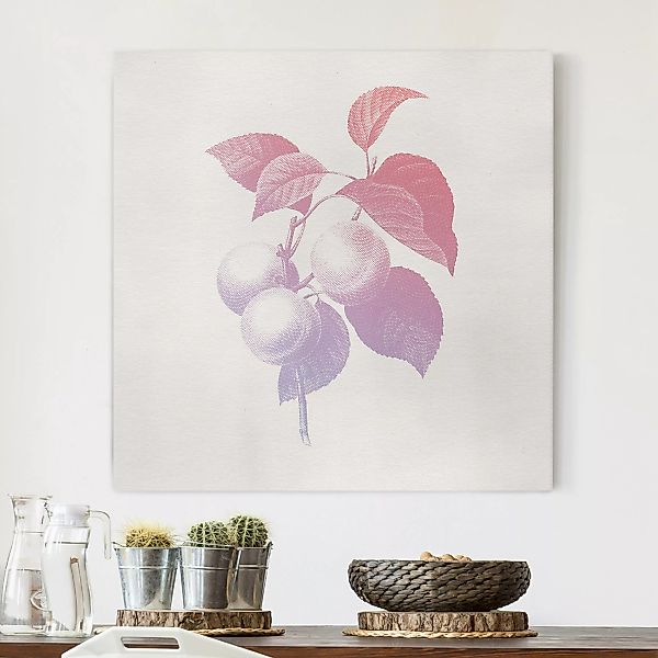 Leinwandbild Modern Vintage Botanik Pfirsich Rosa Violett günstig online kaufen