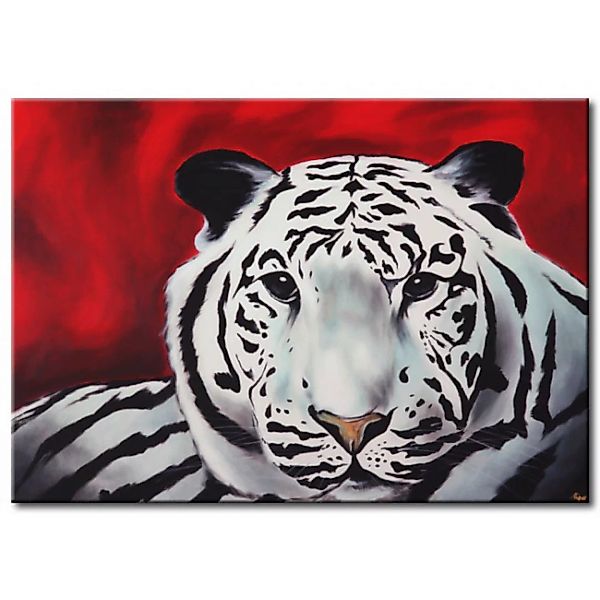 Bild auf Leinwand Weißer Tiger XXL günstig online kaufen