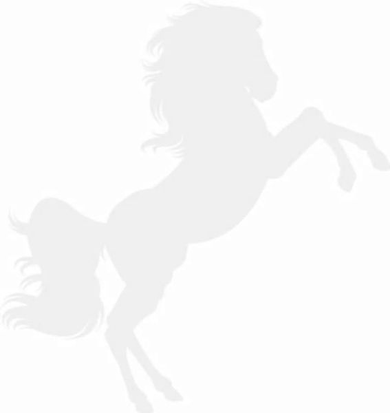 EmmiJules Wandtattoo Pferd - strahlende Mädchenaugen weiß Gr. 60 x 60  Kind günstig online kaufen